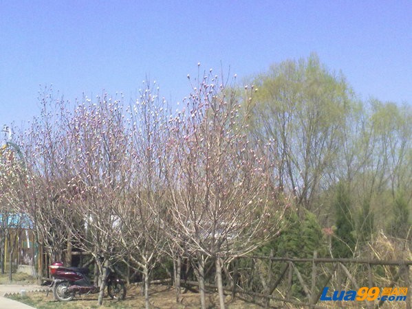 20120403457.jpg