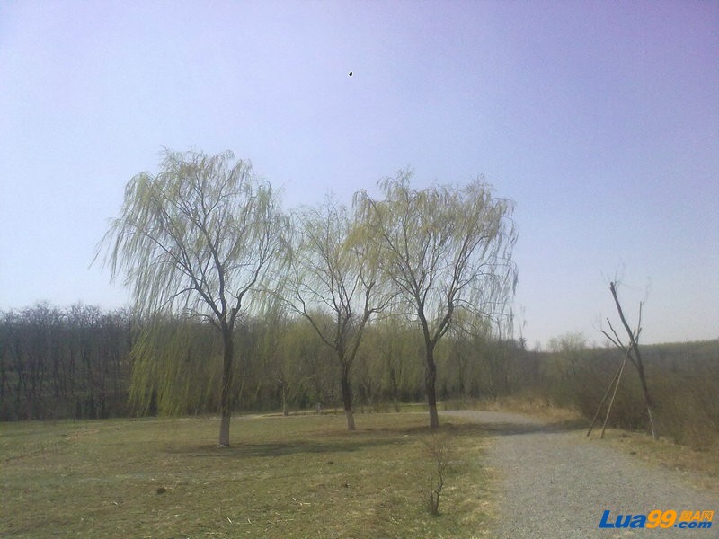 20120403460.jpg