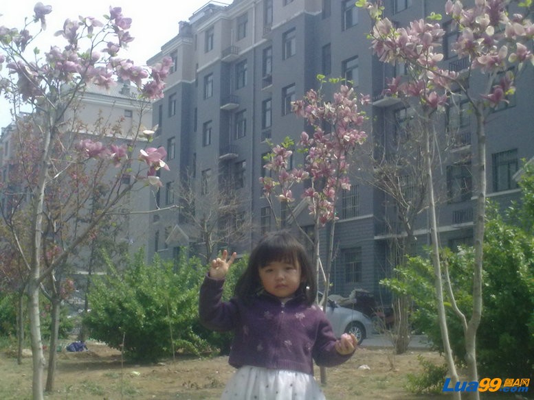 20120408494.jpg