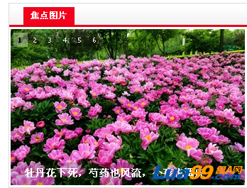 QQ截图20120508172813.png