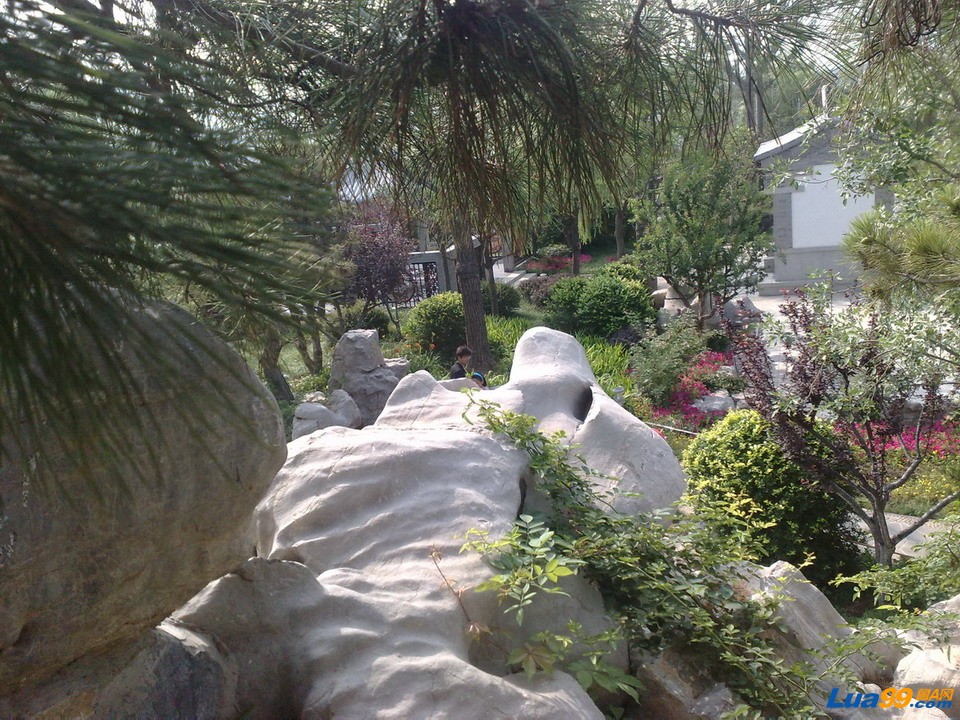 20100711863_缩小大小.jpg