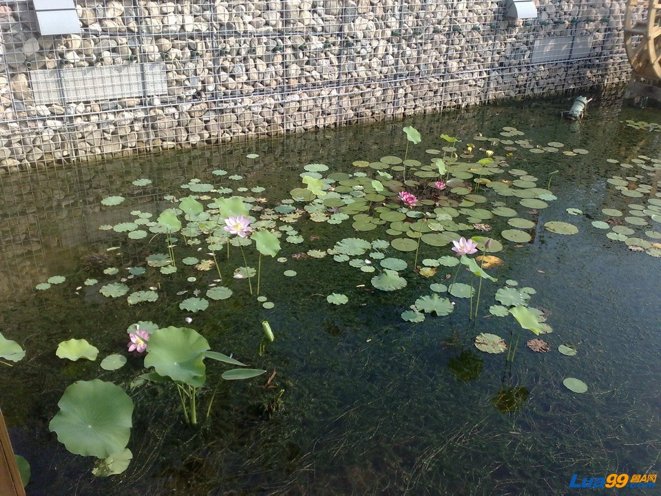 20100711824_缩小大小.jpg