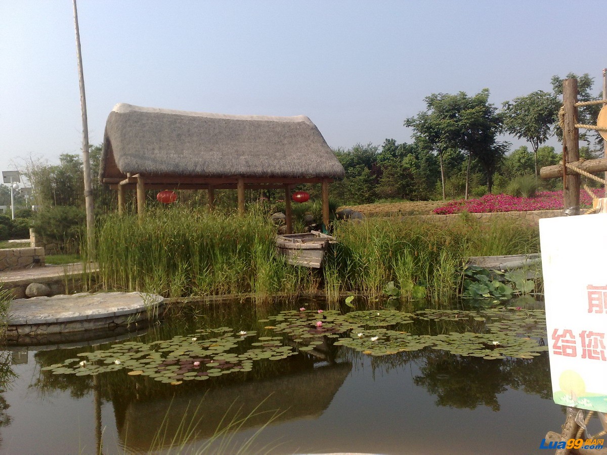 20100711831_缩小大小.jpg