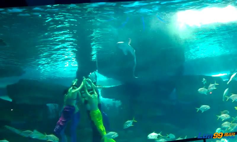 VIDEO0013_20121011234017.JPG