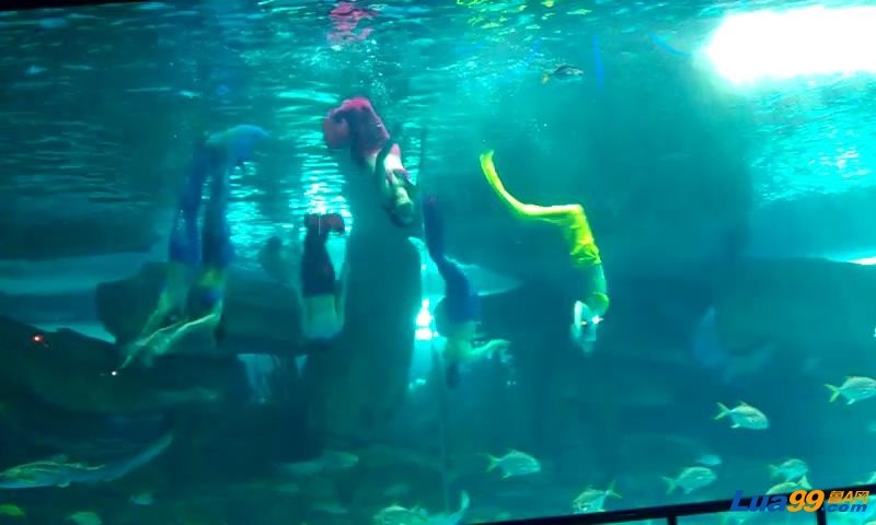 VIDEO0013_20121011234032.JPG