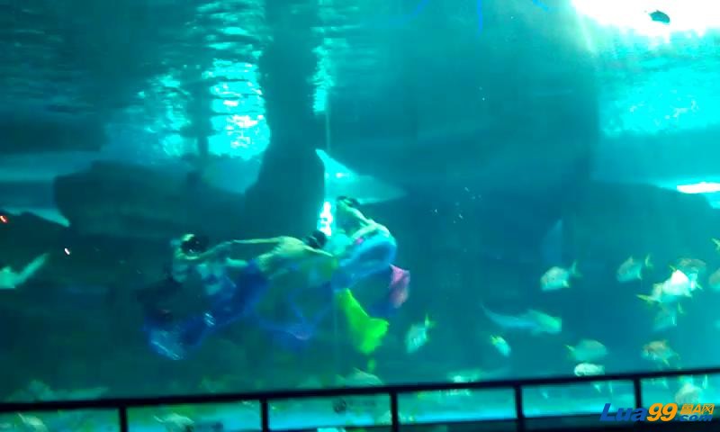 VIDEO0013_20121011234044.JPG