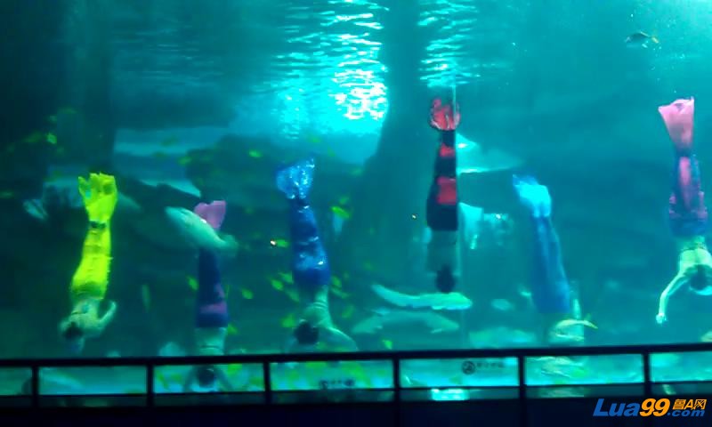 VIDEO0013_20121011233715.JPG