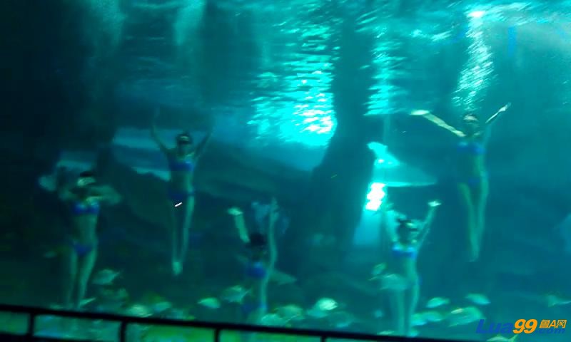 VIDEO0014_2012101123466.JPG