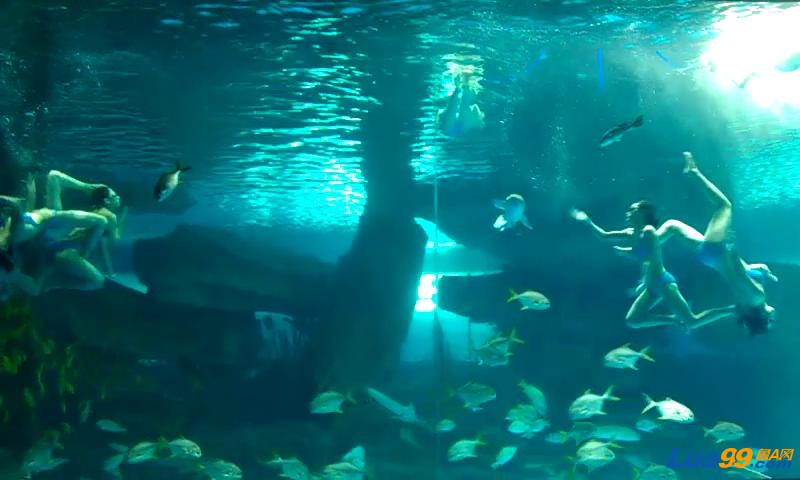 VIDEO0014_2012101123484.JPG