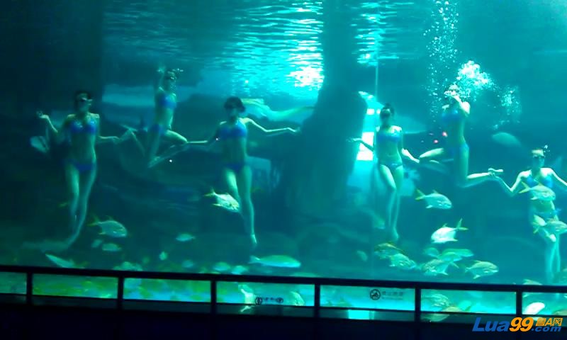 VIDEO0014_20121011234613.JPG