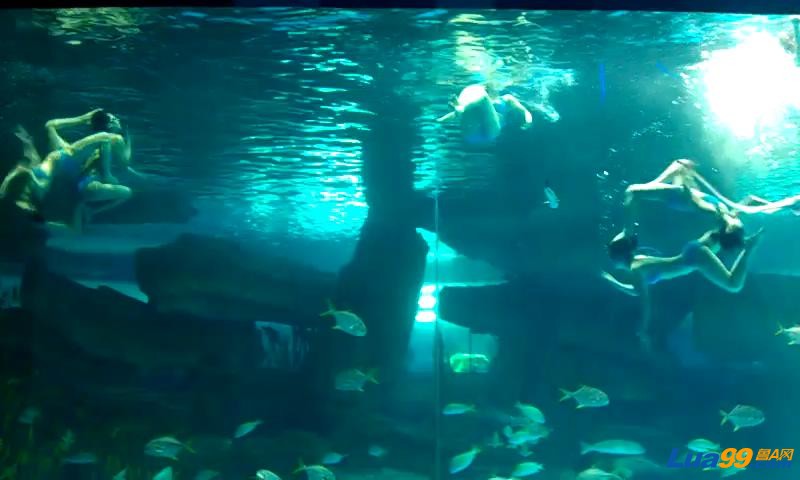 VIDEO0014_20121011234813.JPG