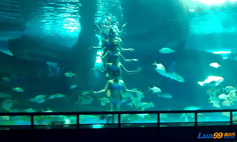 VIDEO0014_20121011234850.JPG