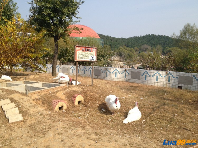 跑马岭野生动物园图片