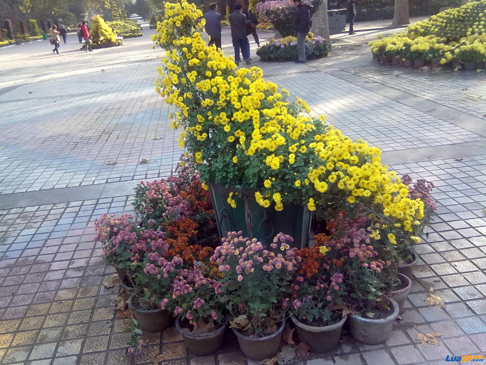 201211122903.jpg