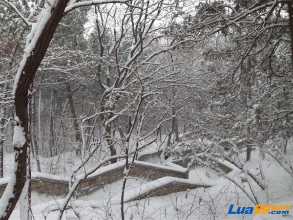 上山台阶被洁白的雪覆盖