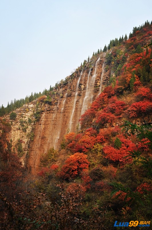 秋葉飛瀑-與mm同遊青州黃花溪 - 自駕旅遊 - 【魯a網】濟南車友會