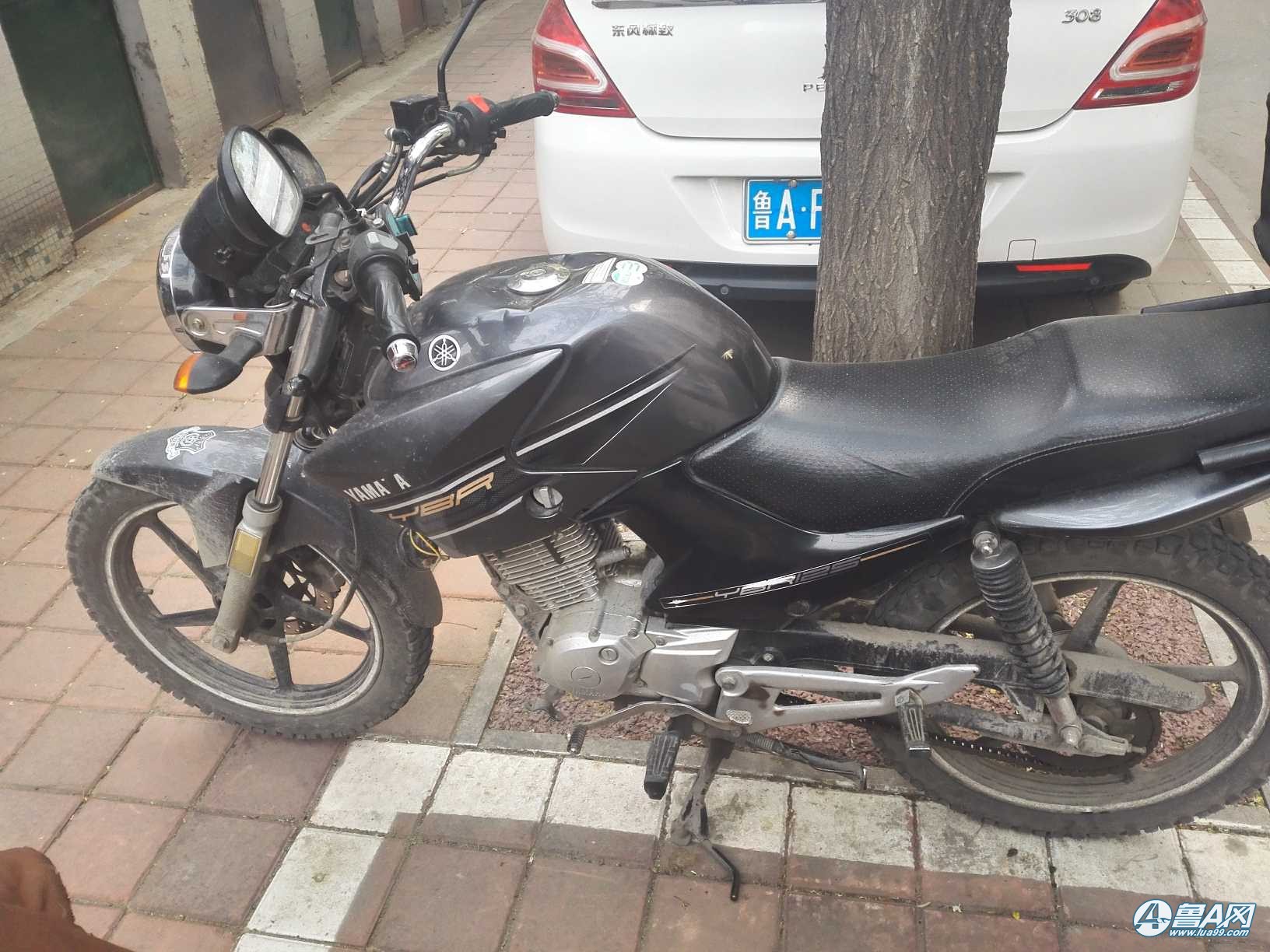 072840yzdbb8djl0qviilr.jpg